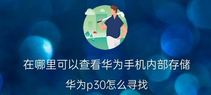 在哪里可以查看华为手机内部存储 华为p30怎么寻找，内部存储？